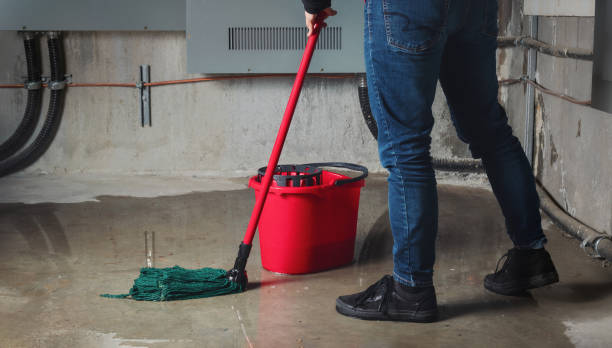 Best Commercial water damage restoration  in Hastings, MN