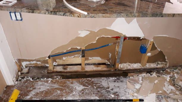 Best Mold removal after water damage  in Hastings, MN