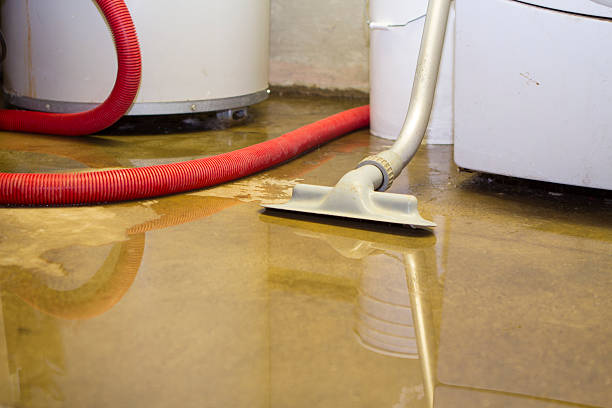 Best Water damage restoration near me  in Hastings, MN