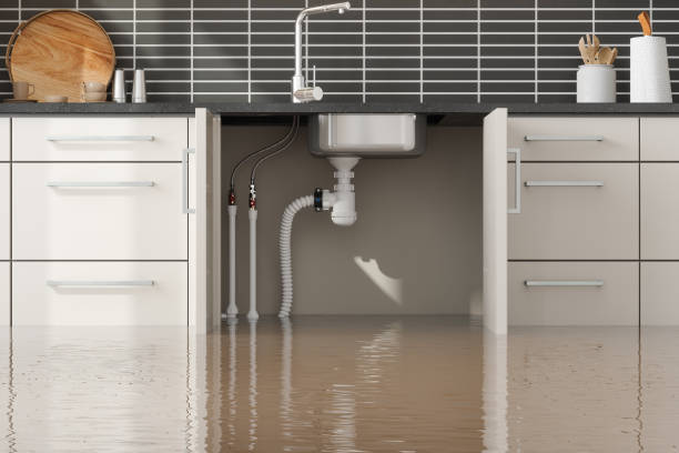 Best Flood restoration services  in Hastings, MN