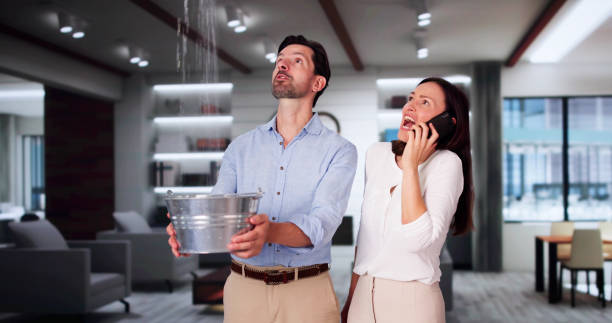 Best Water damage restoration specialists  in Hastings, MN